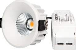 Downlight