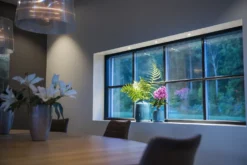 Downlight