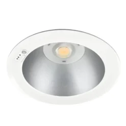 Downlight