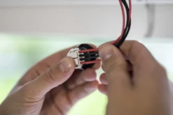 Downlight