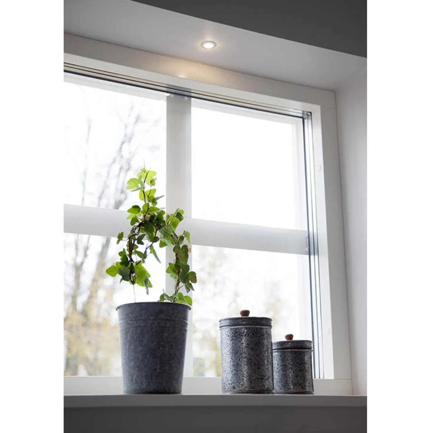 Downlight