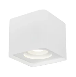 Downlight