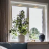 Downlight
