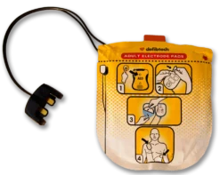 Elektrod