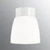 Glaskupa