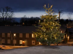 Julgransbelysning
