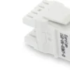 Keystoneuttag