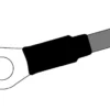 Krympslang