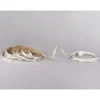 LED-strip