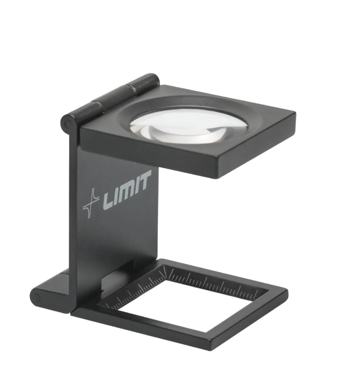 Lupp