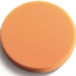 Polersvamp