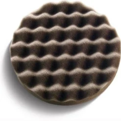 Svamp